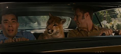 cougar talladega nights|ricky bobby cougar scene.